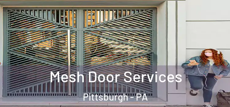 Mesh Door Services Pittsburgh - PA